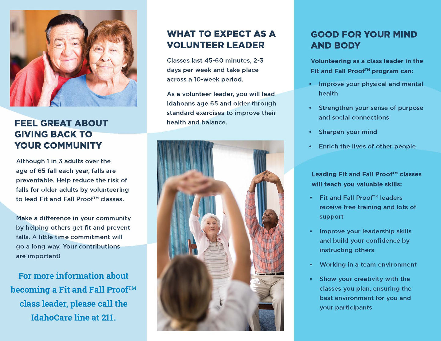 Fit and Fall Proof Volunteer Brochures (Spanish)