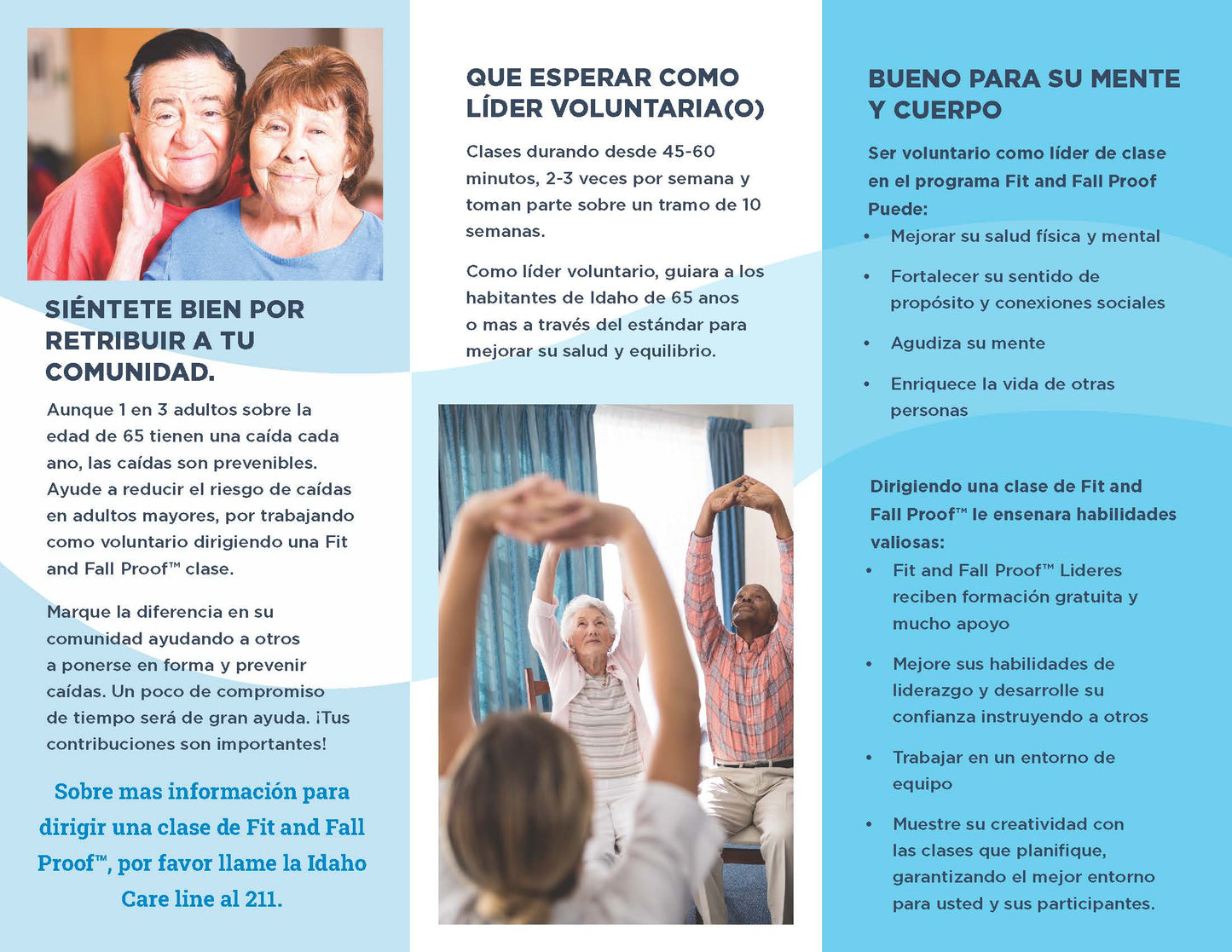 Fit and Fall Proof Volunteer Brochures (English)